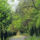 화순골망태 이미지