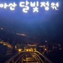 월아산 숲속의 진주 이미지