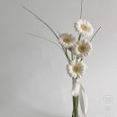 드마리플레 - 수원시 영통구 태장로 87 | 드마리플레