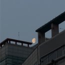 애드짐 | [덕계 헬스장] 애드짐 방문 솔직 후기