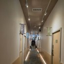 STAY ON HOTEL(스테이 온 호텔) | [대만 여행] 타오위안 공항 캡슐 호텔 초스테이(CHO stay) 숙박 후기