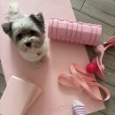 아차산역 이미지