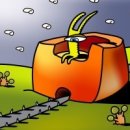 보육실습 이미지