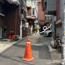 뇨끼테리아 피우 이미지