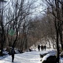 휴양림길 이미지