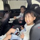 [경기/용인] 4살 쌍둥이와 에버랜드/아기와 비룡열차타기/츄러스맛집