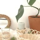 라탄으로 만드는 감성 인테리어 소품 이미지