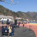 산꽃벚꽃마을 오토캠핑장 이미지