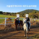 서귀포스피드운동화빨래터 | 제주도여행 제주도 승마체험 겨울 제주도동쪽가볼만한곳 탐나오 가격 정보