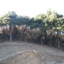 여주-0962 네이버블로그