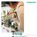 교육사각지대 장애인 평생학습 프로그램 | 울주군청 문수홀] 2025년 장애인 평생학습도시 관계자 역량강화 교육 – 루하리움 테라리움 출강 후기 🌱