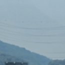 못난이꽈배기 홍성점 | 서안고속도로 휴게소 맛집 행담도 메뉴 먹거리 간식