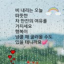 불쭈꾸미 이미지