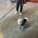 뽑아부러 이미지