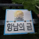 성광화방 - 종로구 종로54길 19 | 성광화방