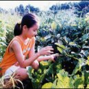 우혁농장 이미지