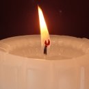 은행농장(염소) 이미지