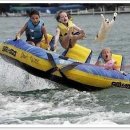 고양이날다 이미지