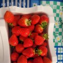 채원농원 이미지