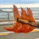 싱싱상회 네이버블로그