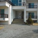 메모리 펜션 Daum카페