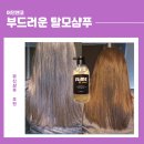 어던 | 어던앤코 부드러운 탈모샴푸 후기 뮤신 샴푸추천 이유 있었네요