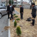 수향취업알선위원회 정춘현 부회장 황금측백나무 묘목 지원 이미지