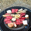 경북애견 | [숙소 후기] 경북 애견 동반 숙소 풀빌라 자쿠지가 있는 _ 구미 인동 더 그로브 (THE GROVE)