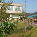 석란정펜션 이미지