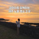 피스테라 클래식 이미지