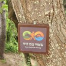 부안 걷기 좋은 길 추천 마실길 3코스 적벽강노을길 (260608)