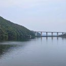 백야리산림욕장 이미지