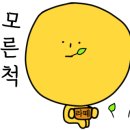 모모케이크