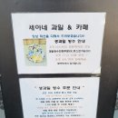 여수 세아네 과일카페, 생과일빙수 생과일쥬스 맛집