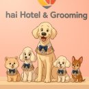 하이유치원 이미지