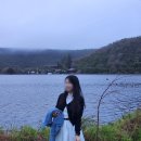 구구농장 | [뉴질랜드] 2025년 7월 4일의 로토루아(뉴질랜드 농장 견학, 로토루아 호수, Agrodome, 양몰이쇼, 동물...