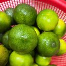 왕성초등학교 이미지