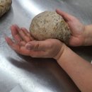 안산시근로자종합복지관 이미지