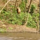 나잡아바라 이미지