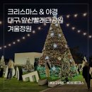 빨래터 가는 길 경 | 도심 야경과 크리스마스 감성이 가득한 데이트코스 대구 앞산빨래터공원 겨울정원 후기 및 주차장 정보