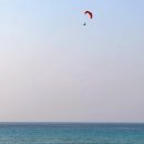 한동리브로콜리 이미지