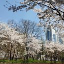 유로파라텔 이미지