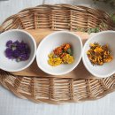 또래울협동조합 이미지