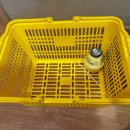 녹천매점