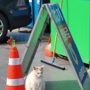 햇빛주유소 이미지