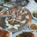가야축산 Daum카페