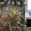 우리음악 길라잡이 이미지