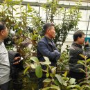 월은농장 이미지