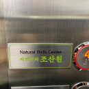 자연주의 조산원 이미지