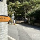 미어캣 이미지